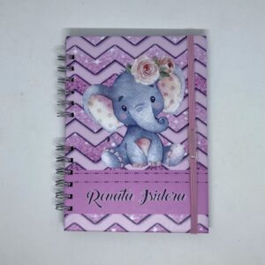 Carnet de control pediatrico (niño sano)